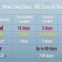 How Long Does Weed Stay In System Chart