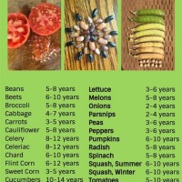 How Long Will Vegetable Seeds Last Chart