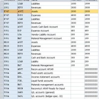 How Many Chart Of Accounts In Sap Fico