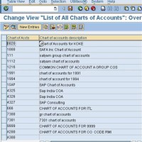 How Many Chart Of Accounts In Sap