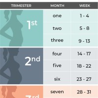 How Many Months Is 20 Weeks Pregnant Chart