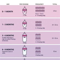 How Many Ounces Baby Chart