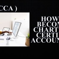 How Many Registered Chartered Accountants In South Africa