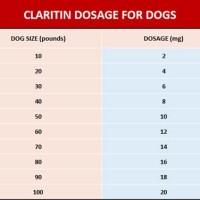 How Much Claritin Can I Give My Dog Chart