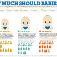 How Much Do Babies Eat Chart