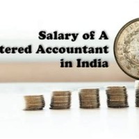 How Much Do Chartered Accountants Earn In India