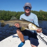 How Much Do Fishing Charters Make In Florida