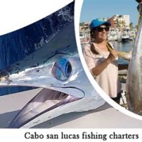 How Much Does A Charter Fishing Business Make