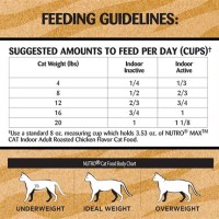 How Much Dry Food To Feed A Cat Chart