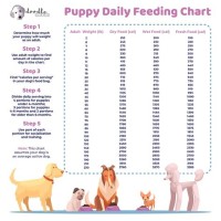 How Much Food For Puppy Chart