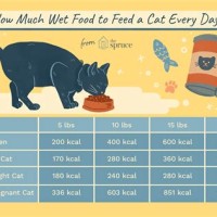 How Much Food Should I Feed My Cat Chart