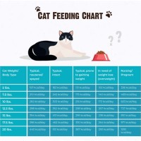 How Much Food To Feed A Cat Chart