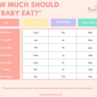 How Much Should An Infant Eat Chart