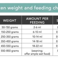 How Much Should Kittens Weight Chart