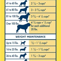 How Much To Feed A Puppy Chart Australia