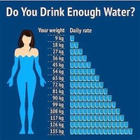 How Much Water Should I Drink A Day Chart