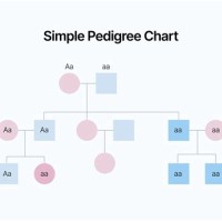 How To Build A Pedigree Chart