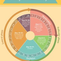 How To Chart Your Menstrual Cycle