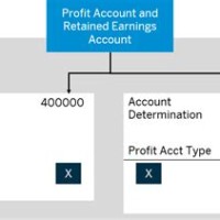 How To Define A P L Statement Account Type In Chart Of Accounts Sap