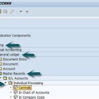 How To Delete Chart Of Accounts In Sap Fico