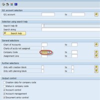 How To Export Chart Of Accounts In Sap Excel