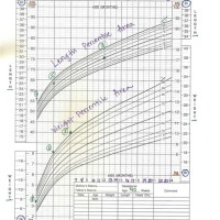 How To Interpret Growth Chart Percentiles