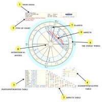 How To Look Up Someone S Birth Chart