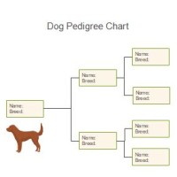 How To Make A Dog Pedigree Chart