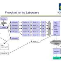 How To Make A Flowchart For Chemistry Lab