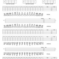 How To Make A Perio Chart