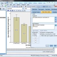 How To Make A Simple Bar Chart In Spss