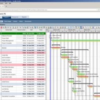 How To Print Primavera Gantt Chart