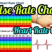 How To Read A Heart Rate Chart