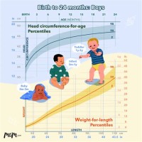 How To Read Baby Percentile Chart