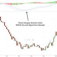 How To Read Binary Trade Charts