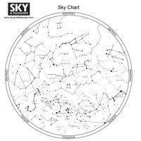 How To Read My Co Star Chart