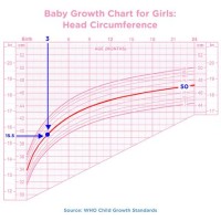 How To Read Percentile Charts For Babies