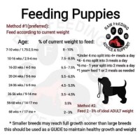 How To Read Puppy Feeding Chart