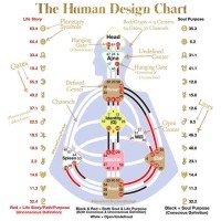 How To Read The Human Design Chart