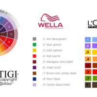 How To Read Wella Color Chart