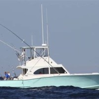 How To Start A Fishing Charter Business In New Zealand