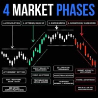 How To Study Indian Stock Market Charts