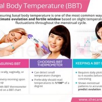 How To Take Basal Body Temperature Chart