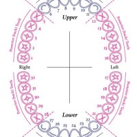 How To Teach Dental Charting