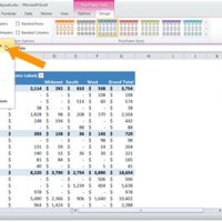 How To Use A Pivot Chart In Excel 2010