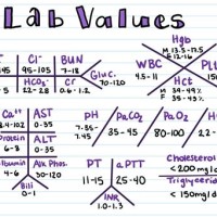 How To Write Lab Values In A Chart