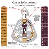 Human Design Chart Gates Explained