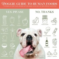 Human Food For Dogs Chart