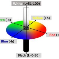 Hunter Lab Color Scale Chart