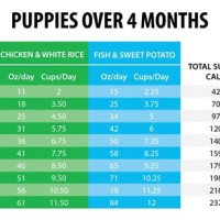 Iams Smart Puppy Large Breed Feeding Chart